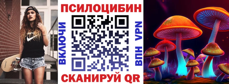 Псилоцибиновые грибы Psilocybe  Новый Оскол 
